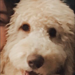 Meet your Posher, Brenna